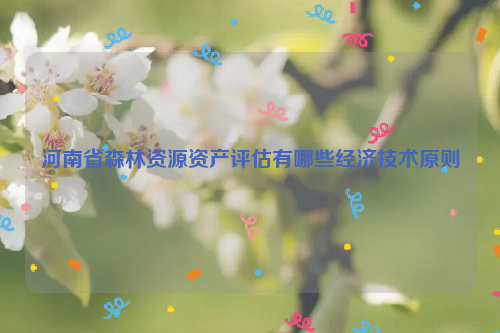 河南省森林資源資產評估有哪些經濟技術原則