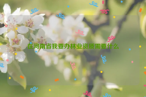 在河南省我要辦林業資質需要什么