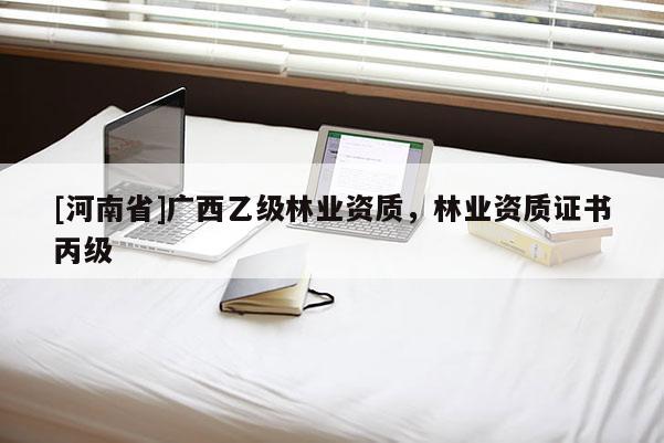 [河南省]廣西乙級林業資質，林業資質證書丙級