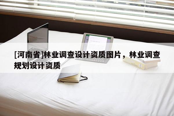[河南省]林業調查設計資質圖片，林業調查規劃設計資質