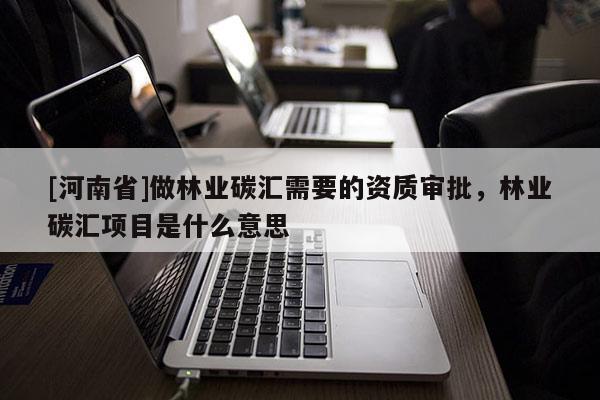 [河南省]做林業碳匯需要的資質審批，林業碳匯項目是什么意思