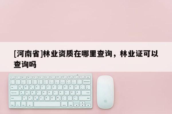 [河南省]林業資質在哪里查詢，林業證可以查詢嗎