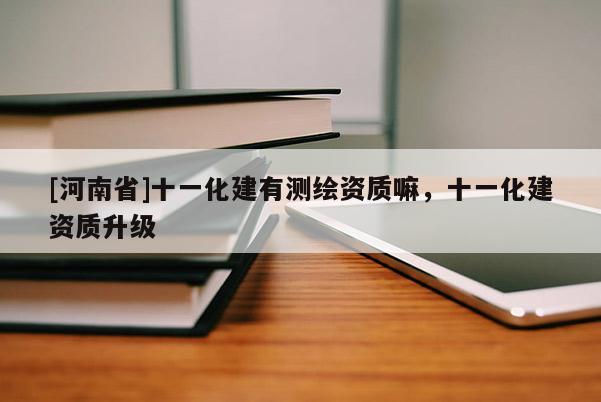 [河南省]十一化建有測繪資質嘛，十一化建資質升級