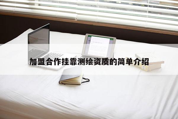 加盟合作掛靠測繪資質的簡單介紹