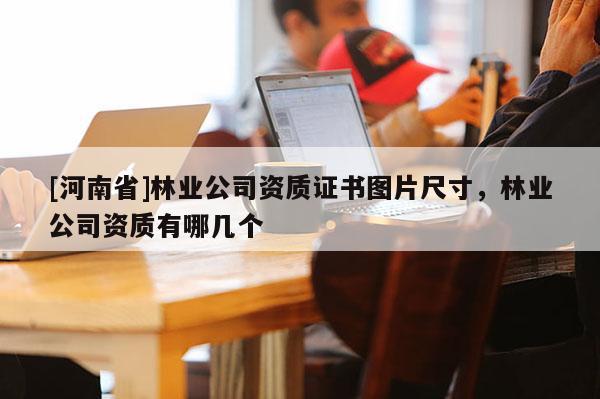 [河南省]林業(yè)公司資質(zhì)證書圖片尺寸，林業(yè)公司資質(zhì)有哪幾個(gè)