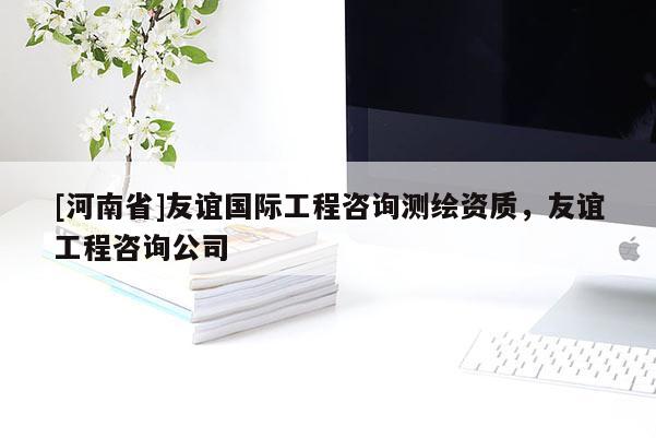 [河南省]友誼國際工程咨詢測繪資質(zhì)，友誼工程咨詢公司