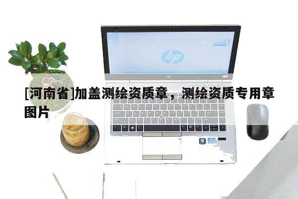 [河南省]加蓋測繪資質(zhì)章，測繪資質(zhì)專用章圖片