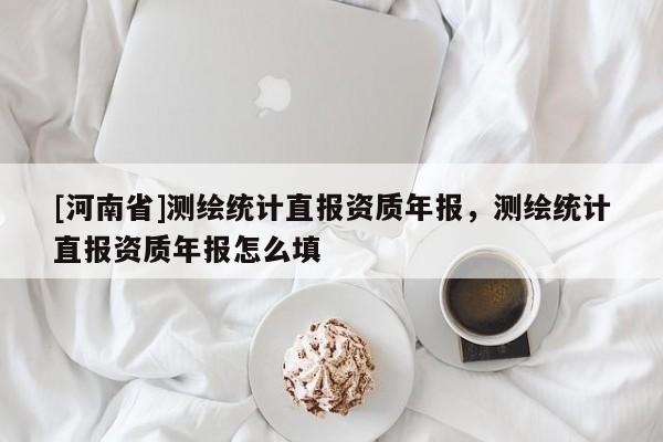 [河南省]測繪統計直報資質年報，測繪統計直報資質年報怎么填
