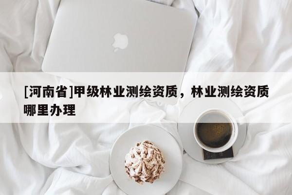 [河南省]甲級林業測繪資質，林業測繪資質哪里辦理