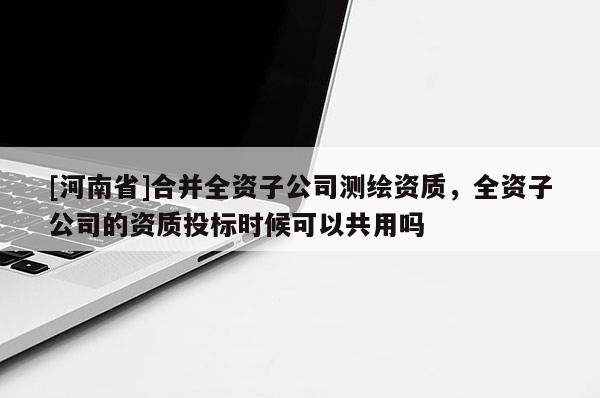 [河南省]合并全資子公司測繪資質，全資子公司的資質投標時候可以共用嗎